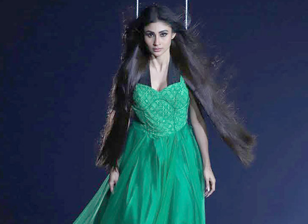 Mouni Roy shares gravity-defying BTS moments from The Bhootnii: “Hung out in trees for 45 nights”; watch : Bollywood News Mouni Roy shares gravity-defying BTS moments from The Bhootnii: “Hung out in trees for 45 nights”; watch : Bollywood News