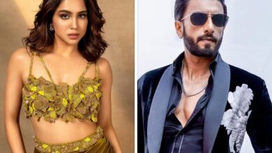 EXCLUSIVE: Sharvari confirmed for Ranveer Singh-starrer Don 3; expected to go on floors by 2025-end; actress now has three HIT film franchises in her kitty : Bollywood News