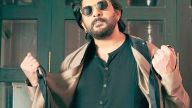 SEBI bans Arshad Warsi, wife Maria Goretti for one year in market manipulation case : Bollywood News