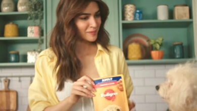 Kriti Sanon stars in Pedigree’s wet food campaign for dogs : Bollywood News