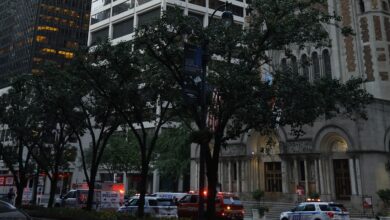 Updates on Suspect’s Identity & Situation – Hollywood Life