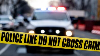 Who Is Responsible for Shooting? – Hollywood Life