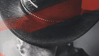 Sajid Nadiadwala, Vishal Bhardwaj team up for O’ Romeo starring Shahid Kapoor and Triptii Dimri, set to release on Valentine’s Day weekend 2026 : Bollywood News