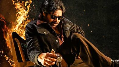 BREAKING: North India joins the OG mania; LAST-MINUTE paid previews of They Call Him OG sold out in no time; extra shows added to cater to INSANE demand at the eleventh hour : Bollywood News