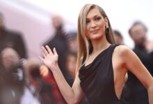 Her Lyme Disease Battle Explained & Updates – Hollywood Life