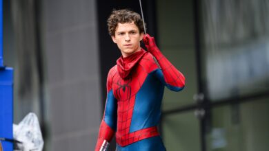‘Spider-Man’ Star’s Concussion & Recovery – Hollywood Life