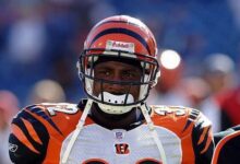 What Happened to the Ex-Bengals Player? – Hollywood Life