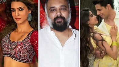 EXCLUSIVE: Here’s why Kriti Sanon, Luv Ranjan were thanked in Param Sundari : Bollywood News