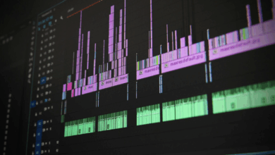 What You Should Know – Hollywood Life