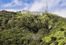 Hollywood Stars and Their Bold Ventures Beyond the Screen – Hollywood Life