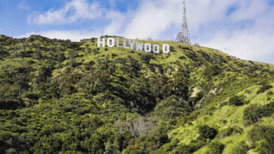 Hollywood Stars and Their Bold Ventures Beyond the Screen – Hollywood Life