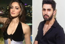 Ananya Panday and Lakshya starrer Chand Mera Dil to hit cinemas on April 10, 2026 : Bollywood News