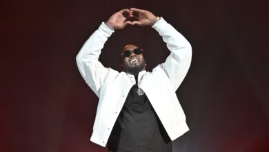 Will Trump Grant Diddy a Pardon Amid Four-Year Prison Sentence? – Hollywood Life