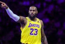 Where to Watch the Announcement & More – Hollywood Life