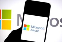 Why it Went Down & Status Update – Hollywood Life