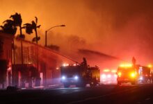 What Started the California Wildfires 2025? – Hollywood Life