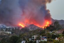 How Did the Pacific Palisades Fire Start? Update on the Possible Cause – Hollywood Life