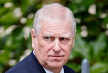 Why Is Prince Andrew Being Stripped of His Title? What He Did – Hollywood Life