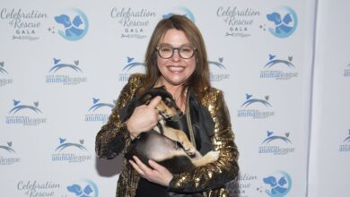 Everything We Know About Her Well-Being – Hollywood Life