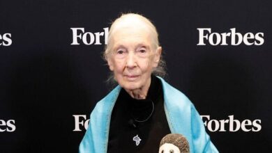 Who Is Jane Goodall? 5 Facts About the Advocate, Her Movies & More – Hollywood Life