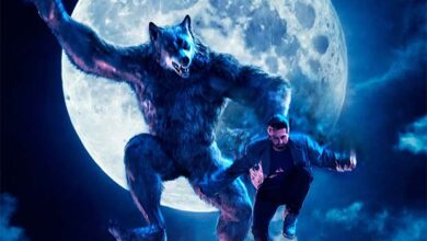 SCOOP: Rs. 20 crores spent on the GRAND Bhediya scene in Thamma; was shot under Amar Kaushik’s supervision : Bollywood News