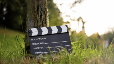 Why the Entertainment World Is Taken by the North of the Border – Hollywood Life