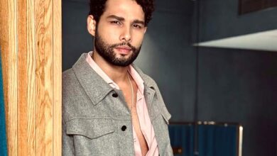 Siddhant Chaturvedi’s Netflix film Ramree, backed by Ajay Devgn, shelved due to budget constraints: Report : Bollywood News