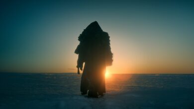 A Comparison – Hollywood Life