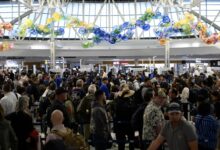 How the Government Shutdown Could Affect Your Holiday Flights – Hollywood Life