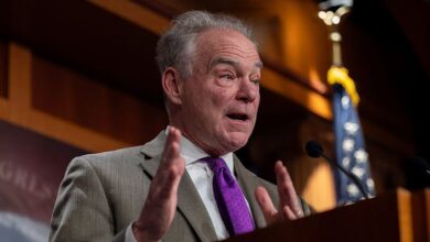 What Democrats Voted With Republicans Amid Shutdown? The 8 Politicians – Hollywood Life