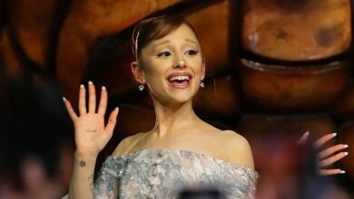 Who Is ‘Pyjama Man,’ Johnson Wen, Who Attacked Ariana Grande? – Hollywood Life