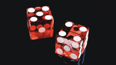 An Engaging and Potentially Profitable Form of Modern Entertainment – Hollywood Life