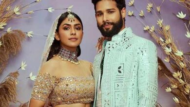 Siddhant Chaturvedi, Mrunal Thakur starrer Do Deewane Seher Mein unveils FIRST LOOK in a clutter-breaking announcement : Bollywood News