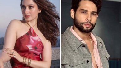 EXCLUSIVE: Tamannaah Bhatia signs Siddhant Chaturvedi-starrer Chitrapati V Shantaram : Bollywood News