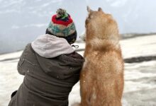 After winning hearts at IFFI 2025, Oslo: A Tail of Promise’s emotional teaser unveiled; watch : Bollywood News