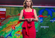 What Is ‘Disclosure Day’ About? Breaking Down Steven Spielberg Movie – Hollywood Life