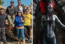 Border 2 teaser to be attached with Avatar: Fire and Ash in cinemas : Bollywood News
