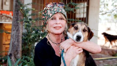 Who Was Brigitte Bardot? 5 Things to Know About the Movie Star Who Died – Hollywood Life