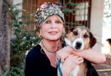 How Did the Movie Star Die? – Hollywood Life