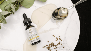 Researchers Explore the Pain-Relief Potential of CBD Oil – Hollywood Life