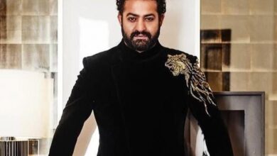 Delhi High Court grants Jr NTR protection over name, image and ai misuse; recognises his celebrity status : Bollywood News