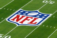 Budweiser, Guy Fieri & More Ads – Hollywood Life