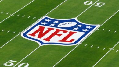 Budweiser, Guy Fieri & More Ads – Hollywood Life