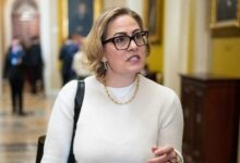 Who Is Matthew Ammel? About Him & the Alleged Krysten Sinema Affair – Hollywood Life