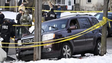 About the Woman Killed by ICE Agent in Minneapolis – Hollywood Life