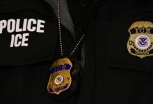 Did ICE Detain a 5-Year-Old Child? What We Know About the Case – Hollywood Life