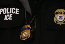 Where Is Liam Conejo Ramos Now? Updates on 5-Year-Old’s ICE Detainment – Hollywood Life