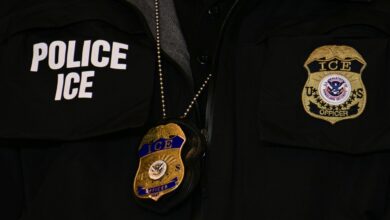 Where Is Liam Conejo Ramos Now? Updates on 5-Year-Old’s ICE Detainment – Hollywood Life