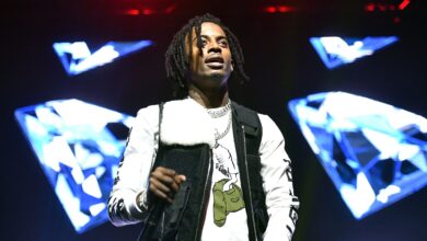 See Orlando Festival Dates, Lineup & Ticket Prices – Hollywood Life