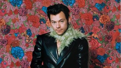Is Harry Styles Releasing A New Album in 2026? What We Know – Hollywood Life